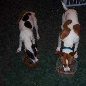 Meet your Posher, Dale